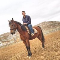 Benyamin Morsali's Photo