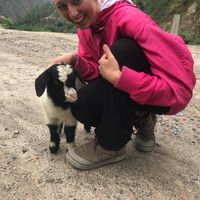 Becca Loevy的照片