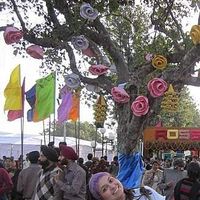 Martha Viloria的照片