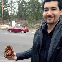 Fotos de Daniel Algazi