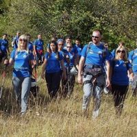 Saman Shakiba's Photo