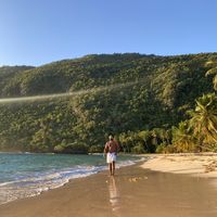 Geneury Shephard的照片