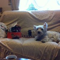 Koyo Matsumoto的照片