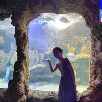 Duong Thuong的照片