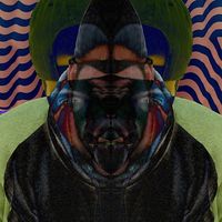 Zakarya Saifdine的照片