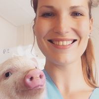 Natalia Strokowska的照片