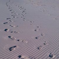 Photos de Greg Hughe