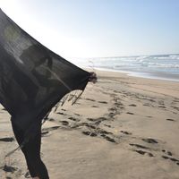 Cartesia Locke's Photo