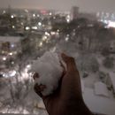 Hamburg Snow Fight Championship 's picture