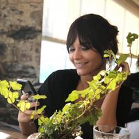 Dimple Dimpl's Photo