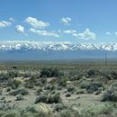 The way to Los Angeles from The Bay Area Sunnyvale's picture