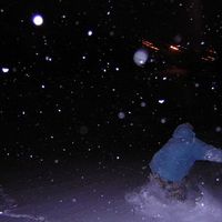 Yong Jin Chung's Photo