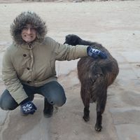 Sebastian Wójcik's Photo