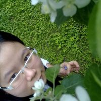 Hai Van Phung's Photo