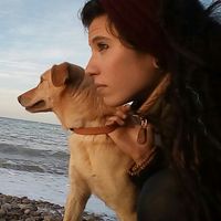 Sofia Ferrarese's Photo