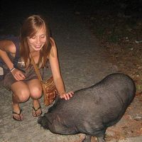 Sana Čačko的照片