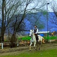 Omar Salama的照片