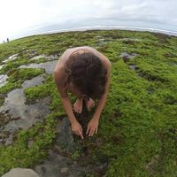 Dóra Obermayer的照片