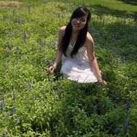 Krystar Ding的照片