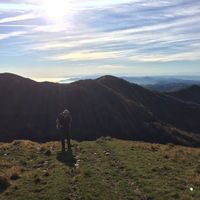 stephen Cowdrey's Photo