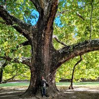 Donini Andrea's Photo