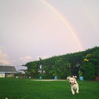 olenka chavez's Photo