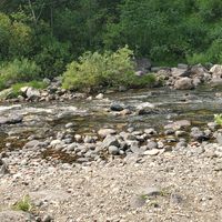 Logan Wyrick's Photo