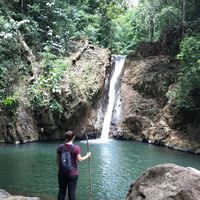 Claire Ayling的照片