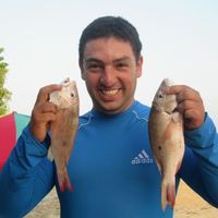 alexander lozano's Photo