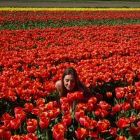 Francesca Cipriani的照片