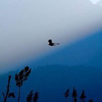 WANGNOOFAMILY's Photo