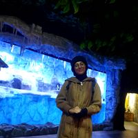 Photos de Aneesa Fathima Aneesa Fathima