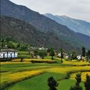 Explore A Remote Himalayan Village v2.0 (Sarnaul)的照片