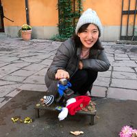 Fotos von Saki Sugahara