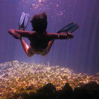 Fotos von Cara Andereggen