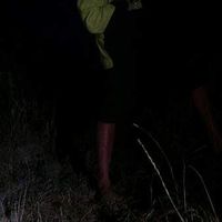 richie wilkinson的照片