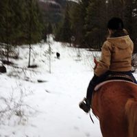 Emily Bornestig's Photo