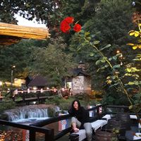 Monalisa Tomsa's Photo