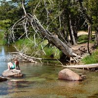 mira reichstein的照片