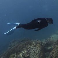 Photos de Ánh  Tuyết