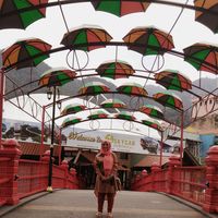 Takwa Attyia的照片