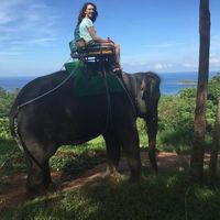 Fotos de Debra Bourdeau