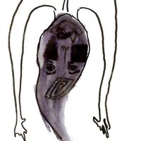 lorna huang的照片