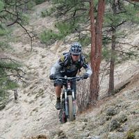 Curtis Roth的照片