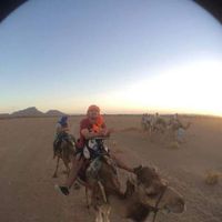 Eduardo Lopes's Photo