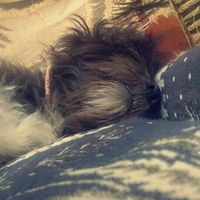 Mimii Medhat's Photo