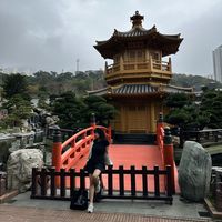 Olfa Bouzidi's Photo