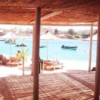 Roby Gallagher's Photo