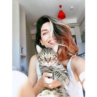 niloofar afsharyan的照片