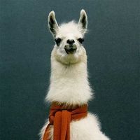 Chris Trachier的照片